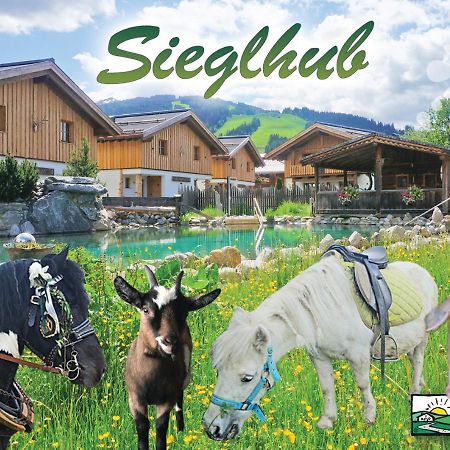 Sieglhub Chalets - Appartements - Hotel Флахау Екстериор снимка