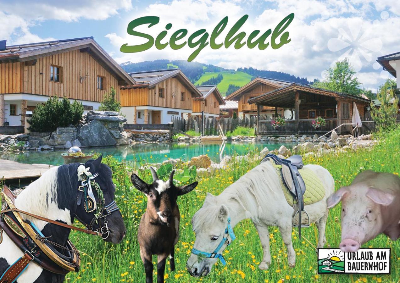 Sieglhub Chalets - Appartements - Hotel Флахау Екстериор снимка